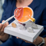 Pourquoi consulter un ophtalmologue régulièrement est essentiel pour préserver votre vision